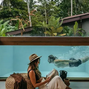 Casa Pohon Villa